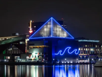 Aquarium After Dark