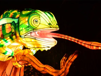 Zoo Lights 2026