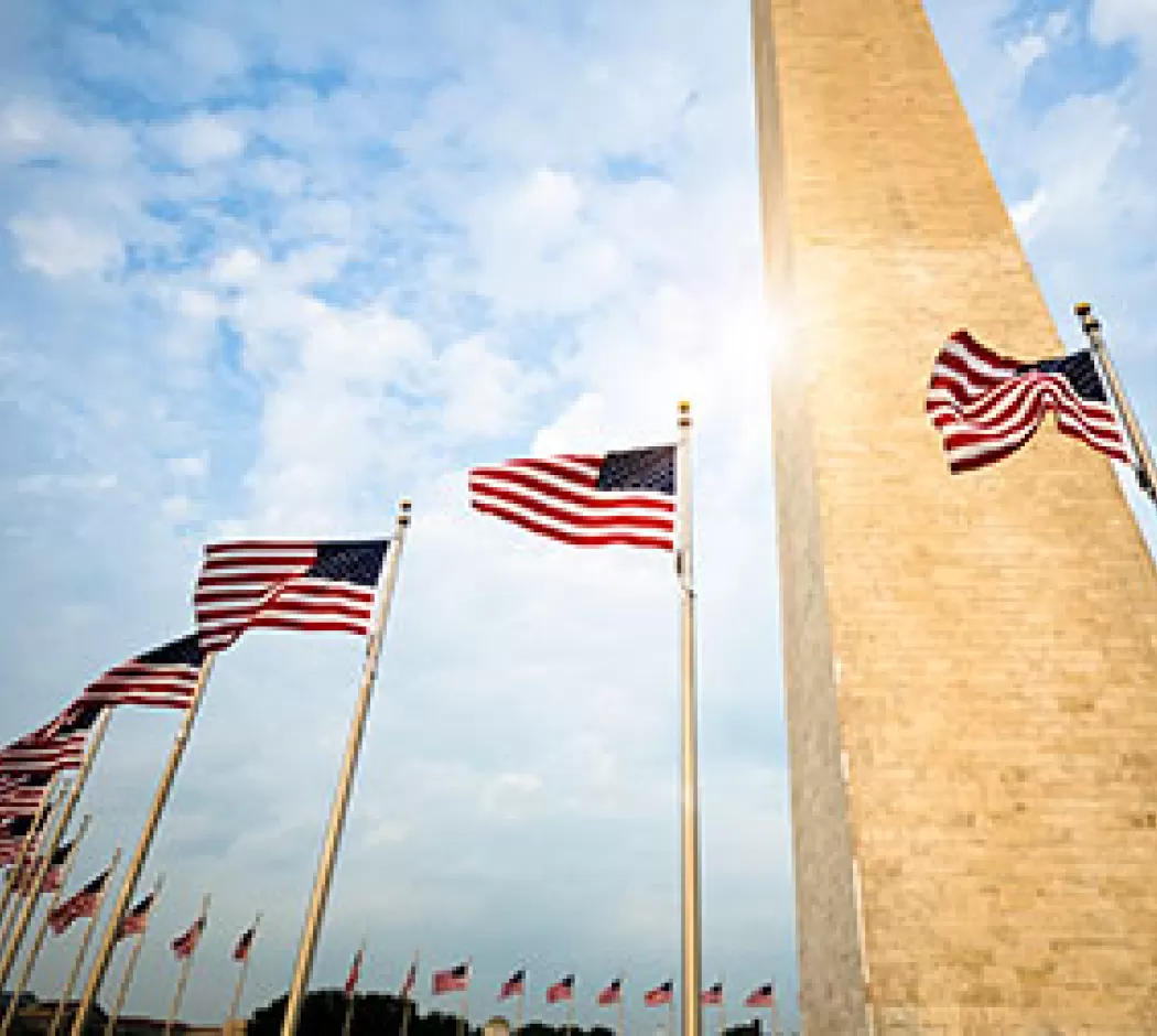 워싱턴 기념비 주변의 미국 국기