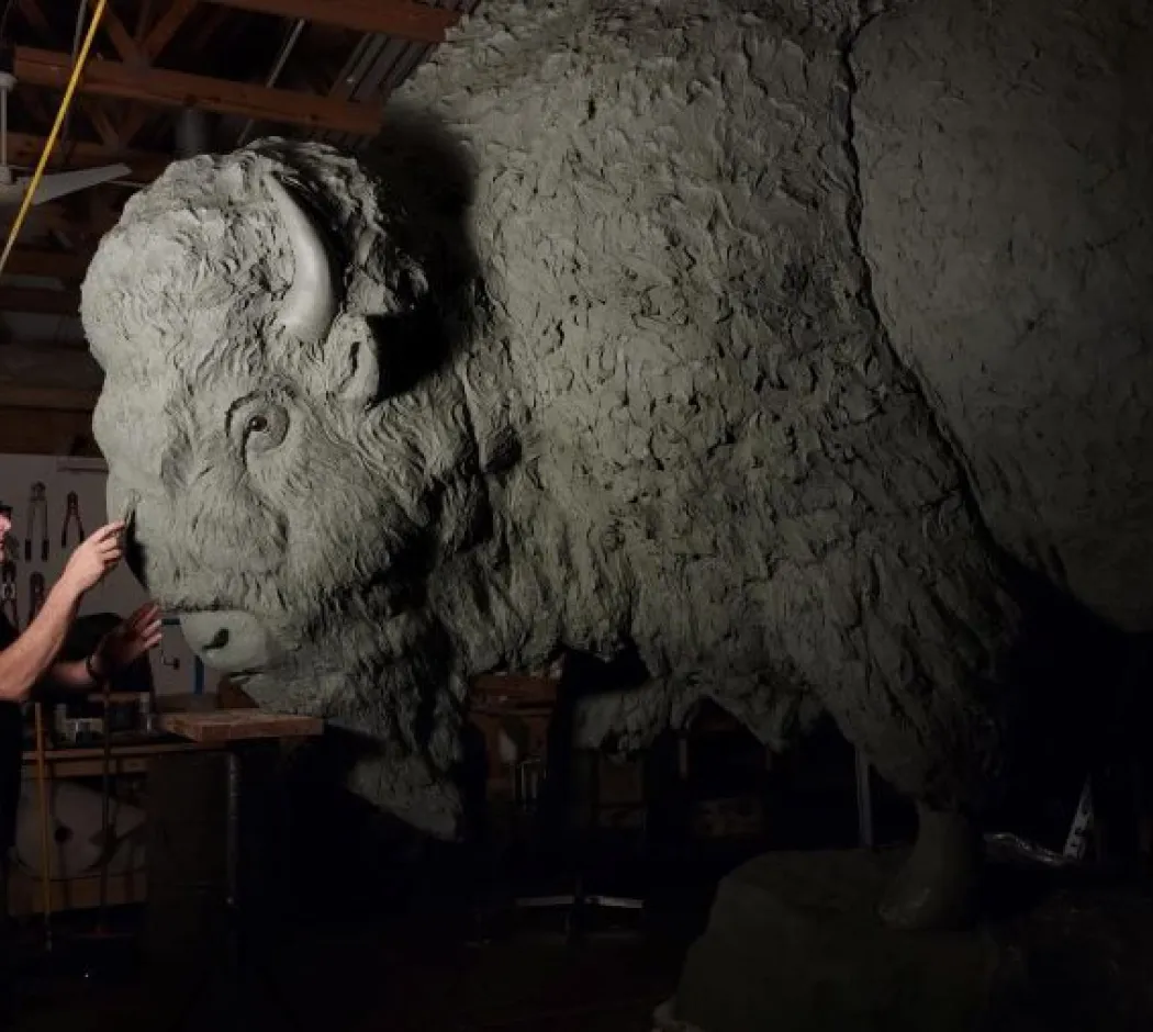 'Bronze Bison' at the National Museum of Natural History