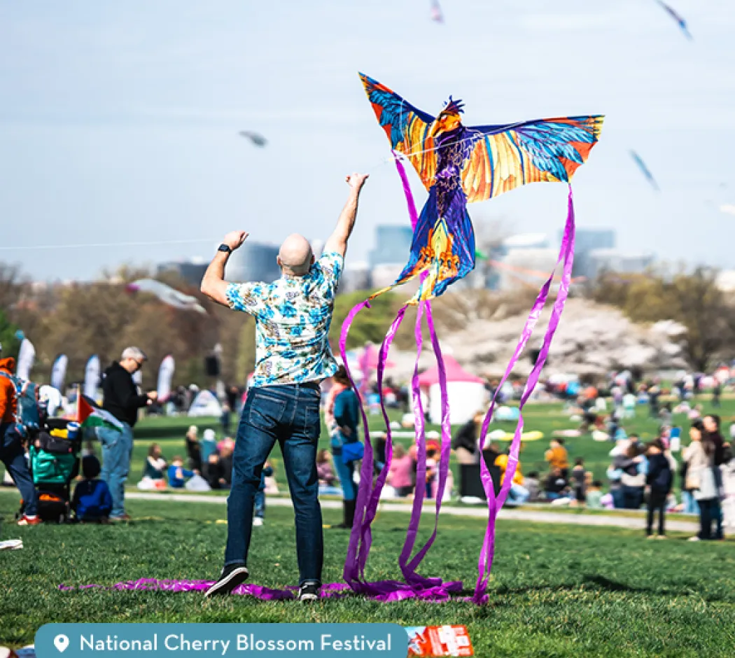 People flying kites at the National Cherry Blossom Kite Festival