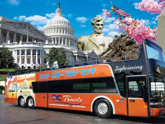 washington dc