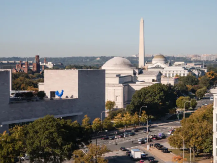 washington dc